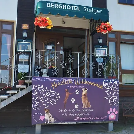 Steiger Шнеберг